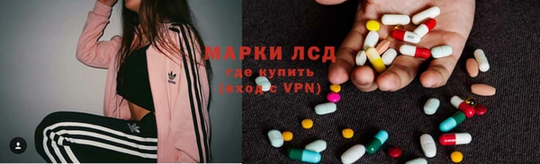 сатива Елизово