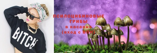 сатива Елизово