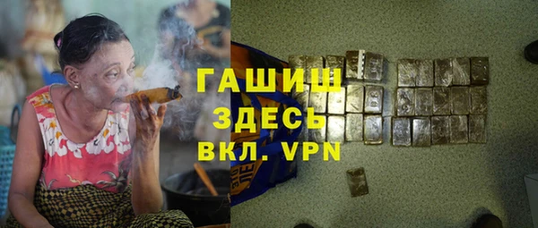 сатива Елизово