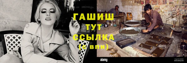 сатива Елизово