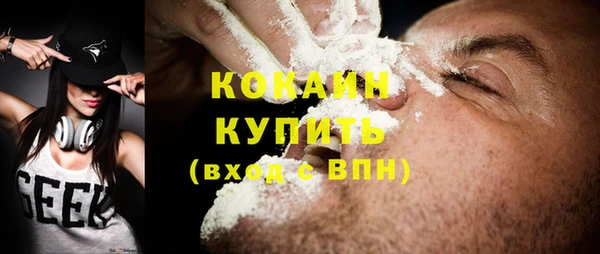 сатива Елизово